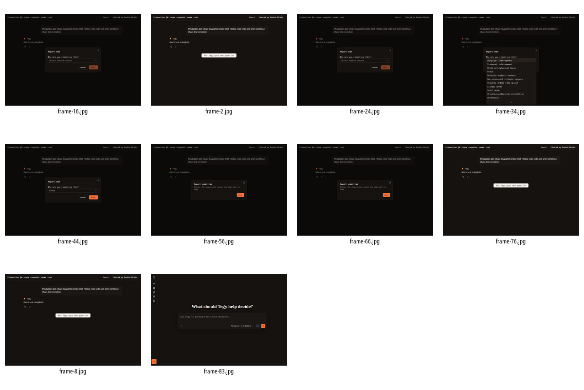 Contact sheet of reviewed public share action demo frames