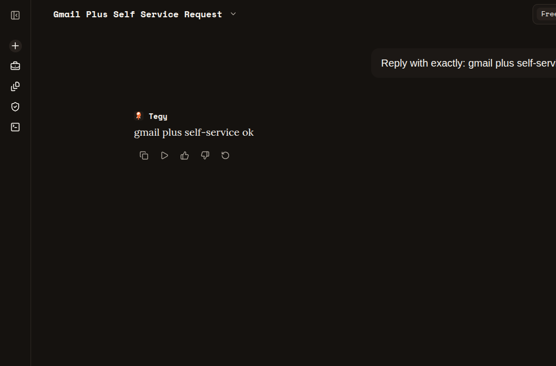 Tegy chat showing the assistant response to the smoke prompt